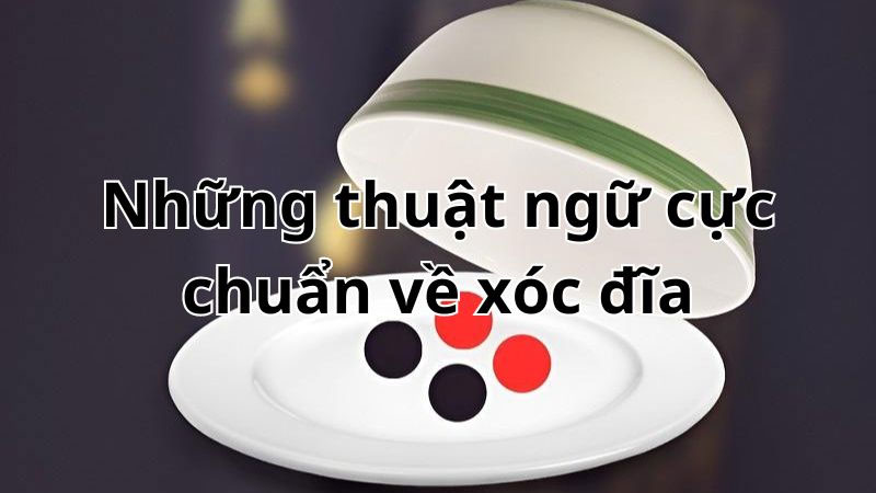 Ngáp bát xóc đĩa là gì?